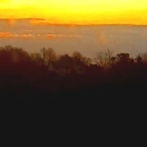 Meet your Posher, Sydney